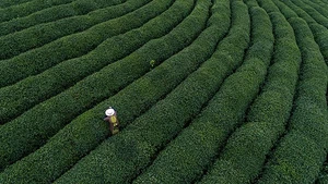 a14256a6-7b11-420d-961e-287fb4c4d12c a14256a6-7b11-420d-961e-287fb4c4d12c