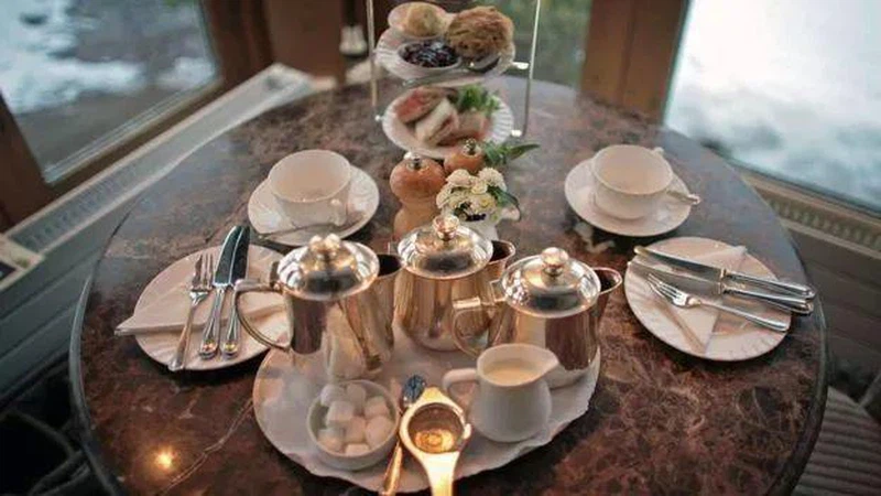 EU Standard Gunpowder Tea 3505 EU Standard Gunpowder Tea 3505